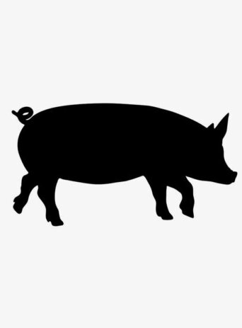 Illustrative vector image silhouette of an animal pig which is in walking pose on white background
