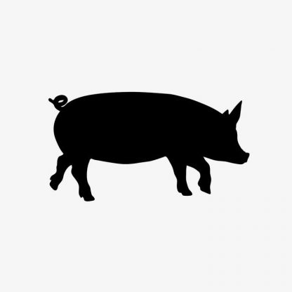 Illustrative vector image silhouette of an animal pig which is in walking pose on white background