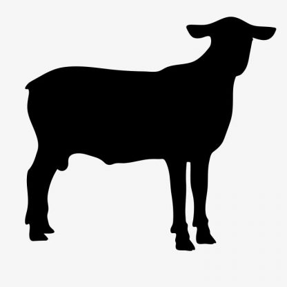 Sheep Animal Standing : Stock Vector (Royalty Free) 021522