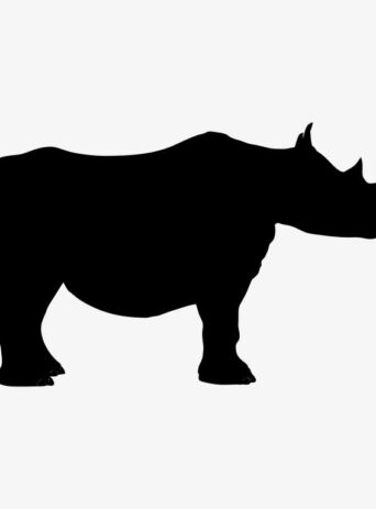 Rhino Standing: A Majestic Display of the Powerful Animal : Stock Vector (Royalty Free) 021523