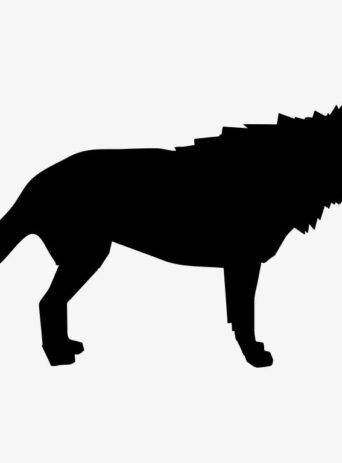 Wolf Animal Standing: A Majestic Display of Power and Grace : Stock Vector (Royalty Free) 021524