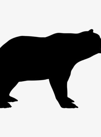 The Mighty Bear: Exploring the World's Largest and Heaviest Mammal : Stock Vector (Royalty Free) 021532
