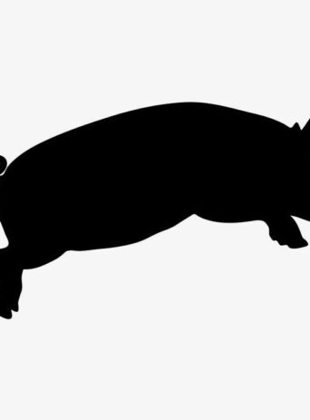 Illustration Of Pig Jumping In Silhouette Isolated On White : Stock Vector (Royalty Free) 021535