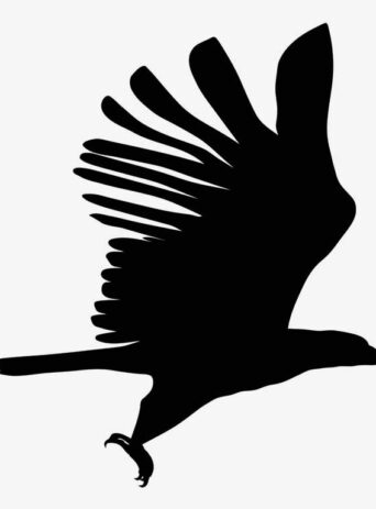 A Majestic Symbol of Power and Freedom: The Timeless Design of the Eagle Silhouette : Stock Vector (Royalty Free) 021541