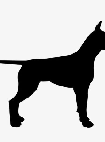 Illustration Of Dog Standing In Silhouette Isolated On White : Stock Vector (Royalty Free) 021551