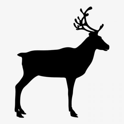 The Fascinating World of Reindeer: An In-Depth Look at These Iconic Arctic Animals : Stock Vector (Royalty Free) 021567