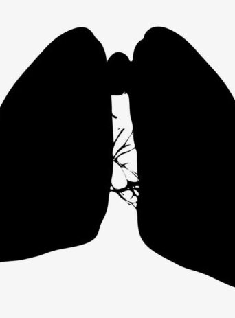 The Vital Organ: A Closer Look at the Function and Importance of the Lung : Stock Vector (Royalty Free) 021569