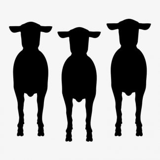 Illustration Of Sheeps Standing In Silhouette Isolated On White : Stock Vector (Royalty Free) 021579