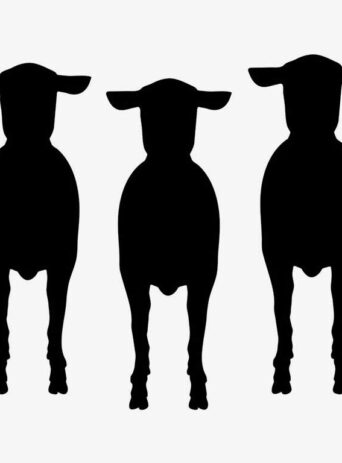 Illustration Of Sheeps Standing In Silhouette Isolated On White : Stock Vector (Royalty Free) 021579