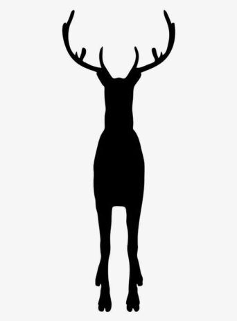 Illustration Of Reindeer Standing In Silhouette Isolated On White : Stock Vector (Royalty Free) 021592