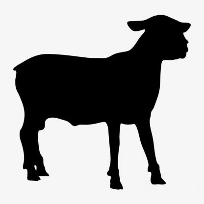 Illustration Of Sheep Standing In Silhouette Isolated On White : Stock Vector (Royalty Free) 021593