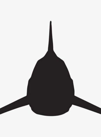 Illustration Of Shark Fish In Silhouette Isolated On White : Stock Vector (Royalty Free) 021608