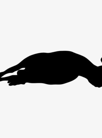 Illustration Of Sheep Lying Down In Silhouette Isolated On White : Stock Vector (Royalty Free) 021611