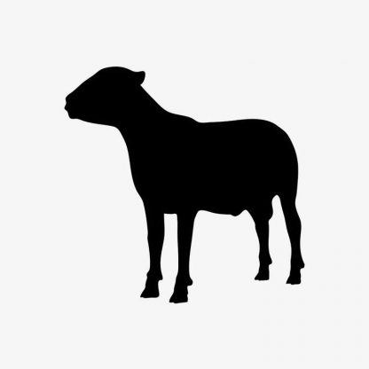 Illustration Of Sheep Standing In Silhouette Isolated On White : Stock Vector (Royalty Free) 021617