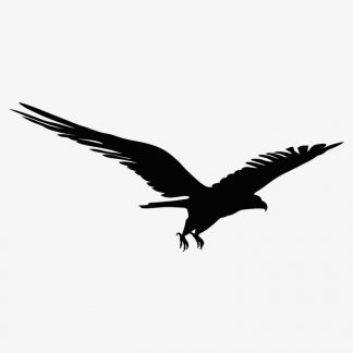 Illustration Of Eagle Flying In Silhouette Isolated On White : Stock Vector (Royalty Free) 021619