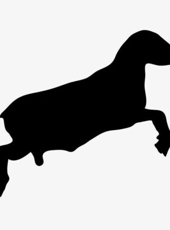 Illustration Of Sheep Jumping In Silhouette Isolated On White : Stock Vector (Royalty Free) 021623