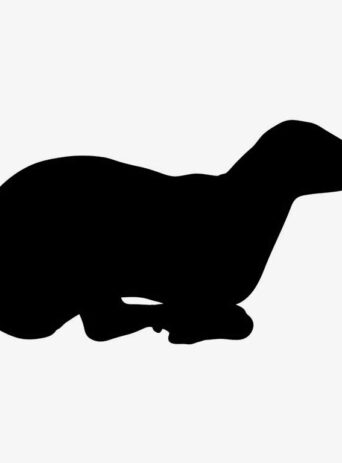 Illustration Of Sheep Sitting On The Ground In Silhouette Isolated On White : Stock Vector (Royalty Free) 021624