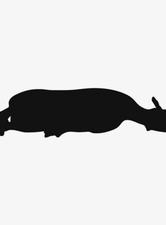 Illustration Of Sheep Lying On The Ground In Silhouette Isolated On White : Stock Vector (Royalty Free) 021627