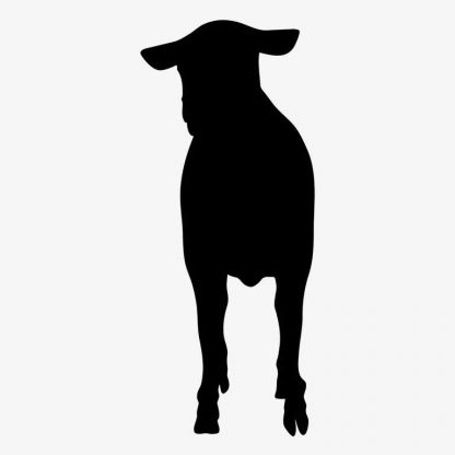 Illustration Of Sheep Standing In Silhouette Isolated On White : Stock Vector (Royalty Free) 021647