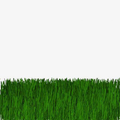 Illustration Of Grass Isolated On White : Stock Vector (Royalty Free) 021648