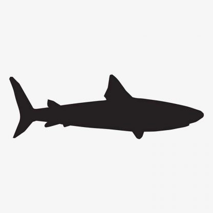 Illustration Of Shark Fish In Silhouette Isolated On White : Stock Vector (Royalty Free) 021655