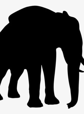 The Majestic Elephant: A Guide to Understanding this Fascinating Animal : Stock Vector (Royalty Free) 021662