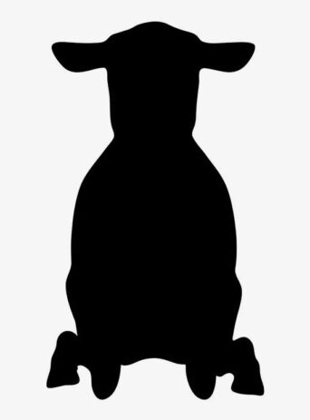 Illustration Of Sheep Standing In Silhouette Isolated On White : Stock Vector (Royalty Free) 021667