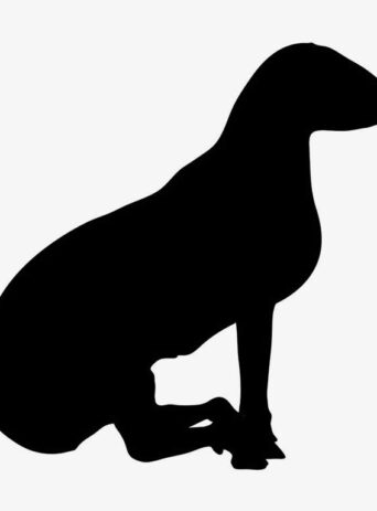 Illustration Of Sheep Standing In Silhouette Isolated On White : Stock Vector (Royalty Free) 021674