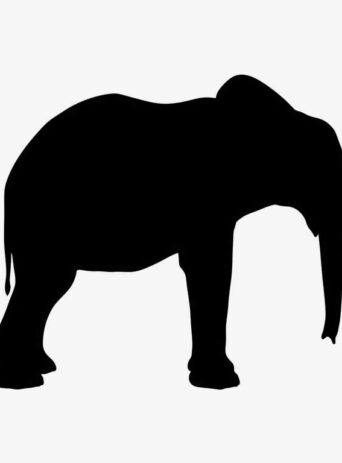 Illustration Of Elephant In Silhouette Isolated On White : Stock Vector (Royalty Free) 021688