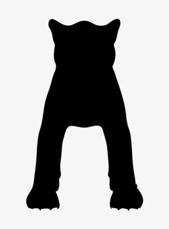 Illustration Of Panther In Silhouette Isolated On White : Stock Vector (Royalty Free) 021701