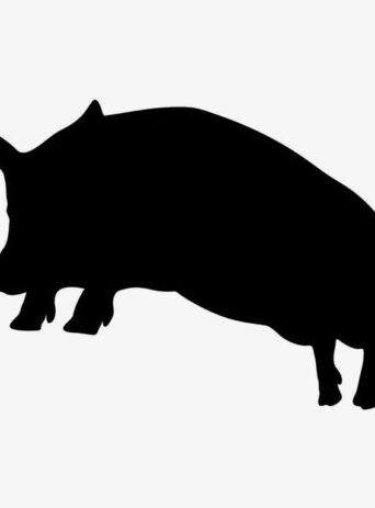 Illustration Of Happy Pig Having Fun By Jumping In Silhouette Isolated On White : Stock Vector (Royalty Free) 021712