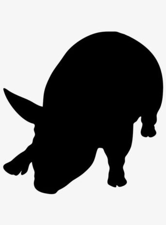 Illustration Of Pig Lying Down In Silhouette Isolated On White : Stock Vector (Royalty Free) 021718