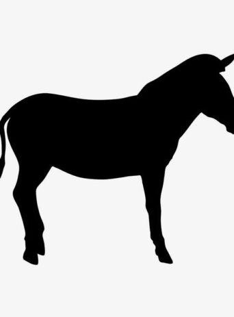 The Fascinating World of Zebras: A Guide to Understanding this Majestic Animal : Stock Vector (Royalty Free) 021726