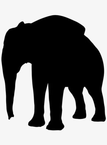 Silhouette of an Elephant: A Majestic Animal's Graceful Outline : Stock Vector (Royalty Free) 021736