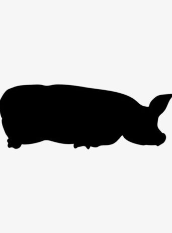 Illustration Of Pig Lying Down In Silhouette Isolated On White : Stock Vector (Royalty Free) 021761