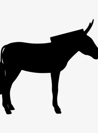 The Versatile and Hardy Donkey: A Trusty Animal Worth Knowing : Stock Vector (Royalty Free) 021767