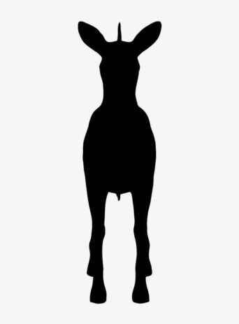 Illustration Of Zebra In Silhouette Isolated On White : Stock Vector (Royalty Free) 021770