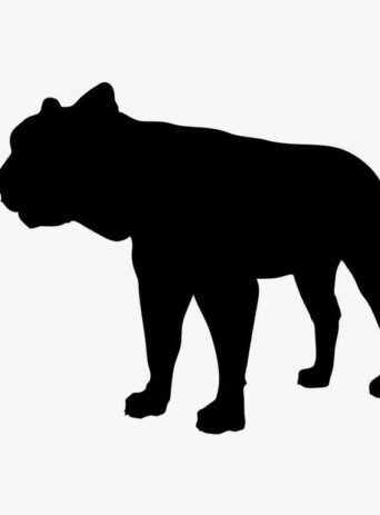 Illustration Of Tiger Big Cat Standing Still In Silhouette Isolated On White : Stock Vector (Royalty Free) 021797