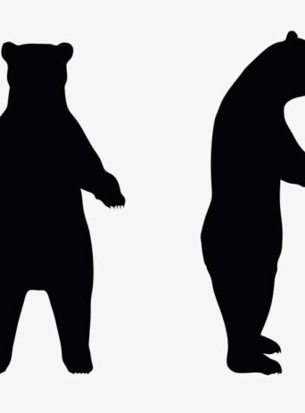 Illustration Of A Bear Pose In Silhouette Isolated On White : Stock Vector (Royalty Free) 017628