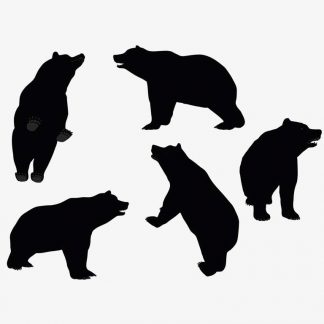 Illustration Of A Bear Standing Pose In Silhouette Isolated On White : Stock Vector (Royalty Free) 017629