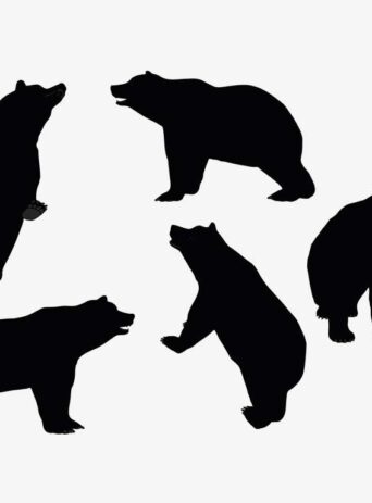 Illustration Of A Bear Standing Pose In Silhouette Isolated On White : Stock Vector (Royalty Free) 017629