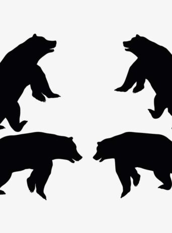 Illustration Of A Bear Standing Pose In Silhouette Isolated On White : Stock Vector (Royalty Free) 017630
