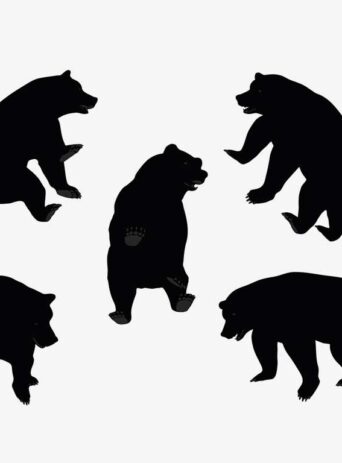 Illustration Of A Bear Standing Pose In Silhouette Isolated On White : Stock Vector (Royalty Free) 017631