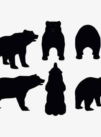 Illustration Of A Bear Standing Pose In Silhouette Isolated On White : Stock Vector (Royalty Free) 017632
