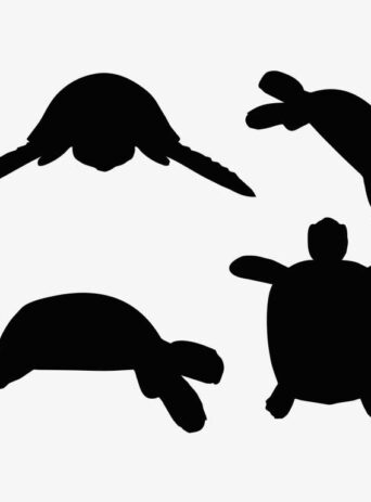 Illustration Of A Turtle Tortoise Standing Pose In Silhouette Isolated On White : Stock Vector (Royalty Free) 017636