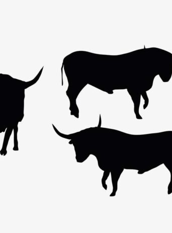 Illustration Of A Bull Standing Pose In Silhouette Isolated On White : Stock Vector (Royalty Free) 017637