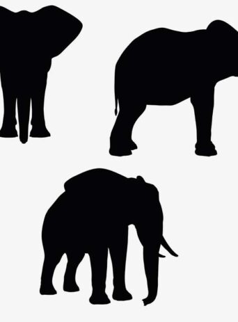 Illustration Of Elephant In Silhouette Isolated On White : Stock Vector (Royalty Free) 017329