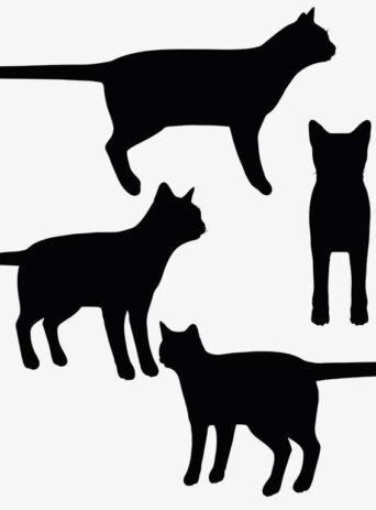 Illustration Of Cats In Silhouette Isolated On White : Stock Vector (Royalty Free) 017341