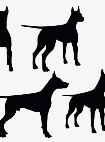 Illustration Of Dogs In Silhouette Isolated On White : Stock Vector (Royalty Free) 017342