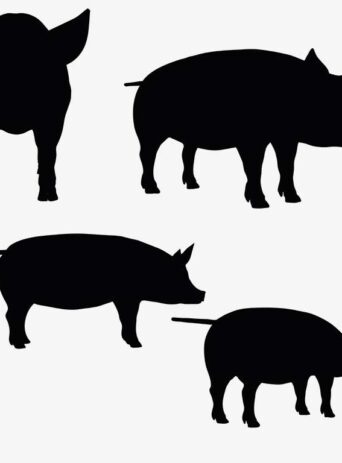 Illustration Of Pig In Silhouette Isolated On White : Stock Vector (Royalty Free) 017343